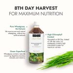 Buy Kapiva Wheatgrass Juice| Helps with daily Detoxification | 8Th Day Harvested For better nutrition | No Added Sugar - 1 L - Purplle