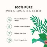 Buy Kapiva Wheatgrass Juice| Helps with daily Detoxification | 8Th Day Harvested For better nutrition | No Added Sugar - 1 L - Purplle