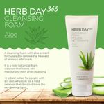 Buy The Face Shop Herb day Cleansing Foam 170 ml | Face wash with aloe and green tea extracts | Face Wash for Dry Skin | Face wash that hydrates skin & maintains PH Level | Korean Skin care Products - Purplle