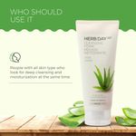 Buy The Face Shop Herb day Cleansing Foam 170 ml | Face wash with aloe and green tea extracts | Face Wash for Dry Skin | Face wash that hydrates skin & maintains PH Level | Korean Skin care Products - Purplle