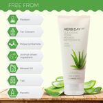 Buy The Face Shop Herb day Cleansing Foam 170 ml | Face wash with aloe and green tea extracts | Face Wash for Dry Skin | Face wash that hydrates skin & maintains PH Level | Korean Skin care Products - Purplle