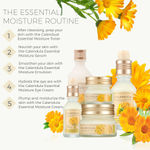 Buy The Face Shop Calendula Essential Moisture Face Serum with Calendula |Reduces redness| Sooth and Calms Skin|for Sensitive Skin,40 ml - Purplle