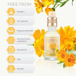 Buy The Face Shop Calendula Essential Moisture Face Serum with Calendula |Reduces redness| Sooth and Calms Skin|for Sensitive Skin,40 ml - Purplle