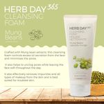 Buy The Face Shop HERB DAY 365 Master Blending Foaming Cleanser - Mungbean & Mugwort (170 ml) - Purplle