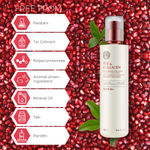 Buy The Face Shop Pomegranate and Collagen Volume Lifting Toner (160 ml) - Purplle