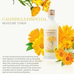 Buy The Face Shop Calendula Essential Moisture Toner, 150 ml - Purplle