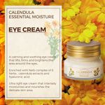 Buy The Face Shop Calendula Essential Moisture Eye Cream with Squalene, effective on under eye dark circles 20 ml - Purplle