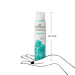 Buy Enchanteur Gorgeous Perfumed Deo Spray for Women, 150 ml - Purplle