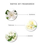 Buy Enchanteur Gorgerous Roll-On Deodorant for Women, 50ml with Roses, Muguets & Cedarwood Extracts - Purplle