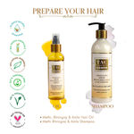 Buy TAC - The Ayurveda Co. Combo of Bhringraj Amla Hair Oil 150ml + Bhringraj Amla Hair Shampoo 250ml for Hair Fall and Regrowth - Purplle