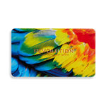 Buy Makeup Revolution Forever Flawless Bird of Paradise Eyeshadow Palette - Purplle