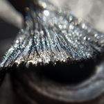 Buy Bella Voste,Sand Holo, Grey/Black- 404 - 10 ml - Purplle