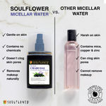 Buy Soulflower Herbal Charcoal Micellar Water Soap With Active Ingredients of Licorice, Aloe, Lavender & Cica, Deep Cleanse & Naturally Purifies, Alcohol Free, All Skin Types, 120ml - Purplle