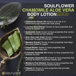 Buy Soulflower Chamomile Aloe Vera Body Lotion with Vitamin C, Hyaluronic Acid & Bamboo Extracts  natural, 250ml - Purplle