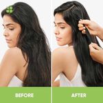 Buy BIOLAGE Advanced Fiberstrong Conditioner 98g | Paraben free|Reinforces Hair Strength & Elasticity | For Hairfall due to hair breakage - Purplle