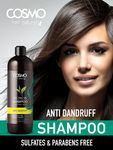 Buy Cosmo Hair Naturals Tea Tree Oil Shampoo (480 ml) Paraben and Sulphate Free - Purplle