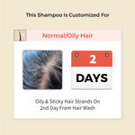 Buy Vedix Customized Ayurvedic Anti Hairfall Shampoo - For Normal - Oily Hair - Made With Bhringraj, Aloe & Yashtimadhu - 100ml - Purplle