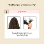 Buy Vedix Customized Ayurvedic Anti-Hairfall Shampoo for Dry Hair - Made with Triphala, Jojoba, Quinoa Protein - 100 ml - Purplle