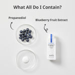 Buy Innisfree Blueberry Rebalancing Lotion (130 ml) - Purplle