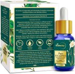 Buy St.Botanica Pure Eucalyptus Therapeutic Grade Essential Oil (15 ml) - Purplle
