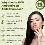 Buy TNW - The Natural Wash Amla Shampoo | Anti-Hair Fall Shampoo for Controlling Breakage & Thinning | Anti-Hair Fall Shampoo with Natural Ingredients - Purplle