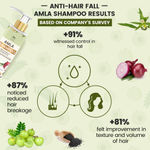 Buy TNW - The Natural Wash Amla Shampoo | Anti-Hair Fall Shampoo for Controlling Breakage & Thinning | Anti-Hair Fall Shampoo with Natural Ingredients - Purplle