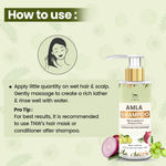 Buy TNW - The Natural Wash Amla Shampoo | Anti-Hair Fall Shampoo for Controlling Breakage & Thinning | Anti-Hair Fall Shampoo with Natural Ingredients - Purplle