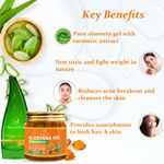 Buy Newish Organic Aloe Vera Gel for Acne, Scars, Glowing & Radiant Skin Treatment, Turmeric Extracts-(200 gm) Pack of 2 - Purplle