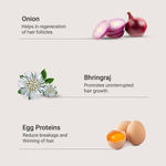 Buy Bombay Shaving Company Onion & Egg Hair Mask and Onion Hair Oil Combo For Men & Women (Set of 2) 300 gm - Purplle