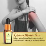 Buy Organic Harvest Rosemary Essential Oil, (30 ml) - Purplle