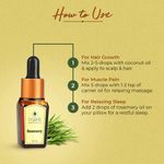 Buy Organic Harvest Rosemary Essential Oil, (30 ml) - Purplle