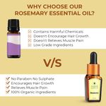 Buy Organic Harvest Rosemary Essential Oil, (30 ml) - Purplle
