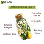 Buy Garnier Ultra Blends Shampoo, 5 Precious Herbs (175 ml) - Purplle