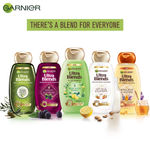 Buy Garnier Ultra Blends Shampoo, 5 Precious Herbs (175 ml) - Purplle