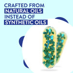 Buy PLIX Life Omega 3 Multivitamins for Daily Well-being, Pack of 3 - Purplle