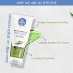 Buy The Moms Co. Green Tea Face Wash (80 ml) (without mono carton) - Purplle