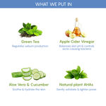 Buy The Moms Co. Natural Green Tea Face Toner Toner (200 ml) - Purplle