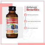 Buy AIMIL Amlycure Syrup Healthy Liver Tonic with Herbal Properties for Improved Digestion and Better Appetite| 100 ml (Pack of 1) - Purplle