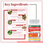 Buy AIMIL Amypure Ayurvedic Blood Purifier Tablets For Pimple Free, Fair & Glowing Skin - 100 Tablets (Pack of 2) - Purplle