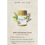 Buy Burgundy Herbal Hair Color - Purplle