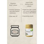 Buy Burgundy Herbal Hair Color - Purplle
