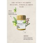 Buy Burgundy Herbal Hair Color - Purplle