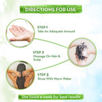 Buy Mamaearth Rice Water Shampoo (25 ml) - Purplle