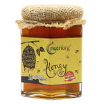 Buy Nutriorg Certified Organic Honey 250 g ( Pack of 2) - Purplle