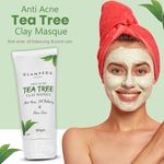 Buy Glamveda Acne Solution Tea Tree Clay Masque (80 gm) - Purplle