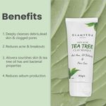Buy Glamveda Acne Solution Tea Tree Clay Masque (80 gm) - Purplle