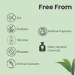 Buy Glamveda Acne Solution Tea Tree Clay Masque (80 gm) - Purplle