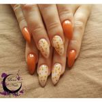 Buy Rosalind Flower Fairy UV & LED Gel 5ML Dried Flower Spring Summer Varnish Decoration Gel Nail Polish (RL-5ML-A146) - Purplle