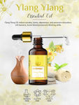 Buy Nutriment Ylang-Ylang Essential Oil, 15ml - Purplle