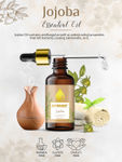 Buy Nutriment Jojoba Essential Oil, 15ml - Purplle